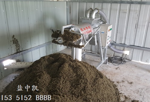 鸡粪草莓视频在线观看免费下载应用案例